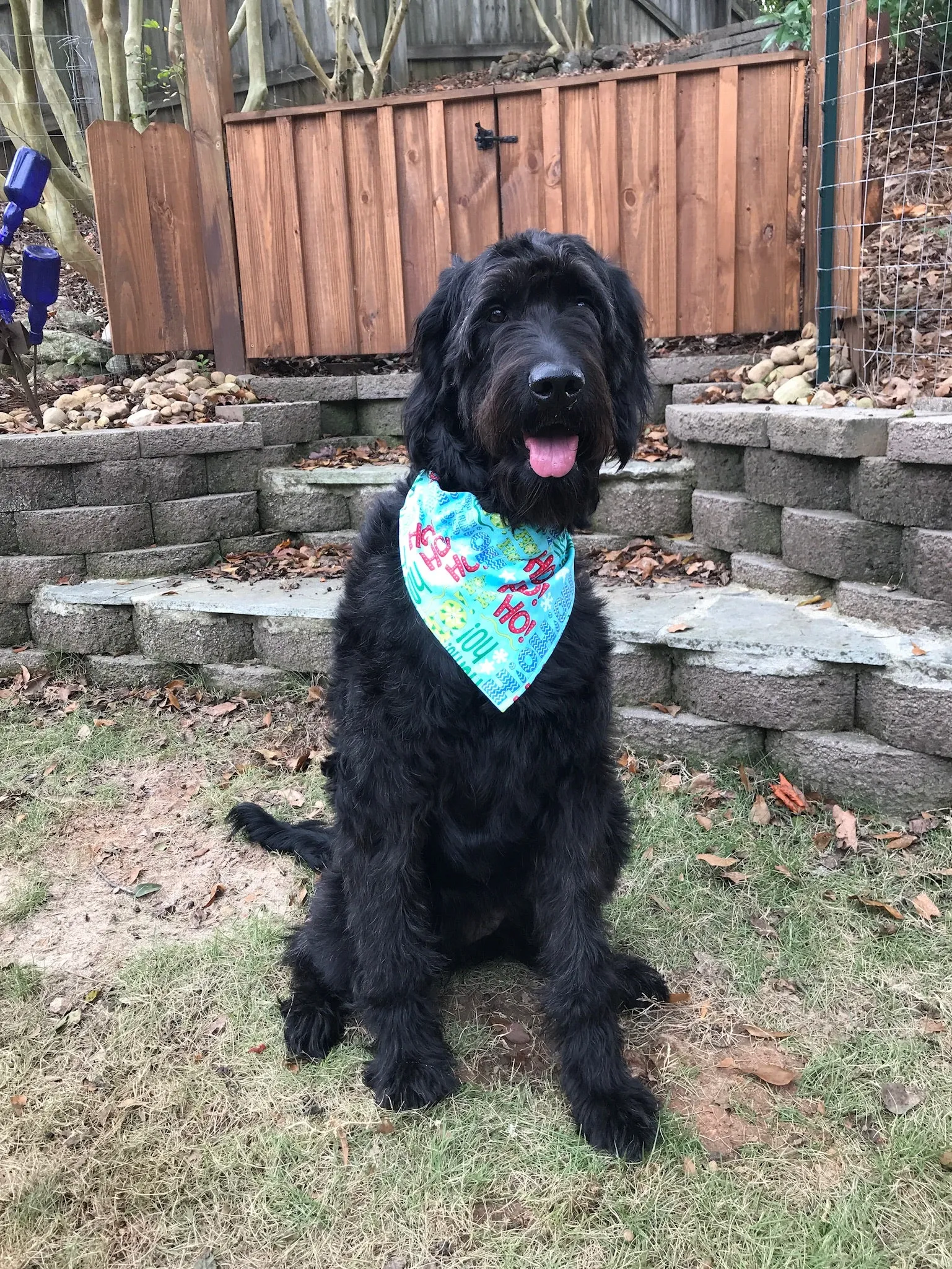 Dog Scarf - Ho Ho/Snowman