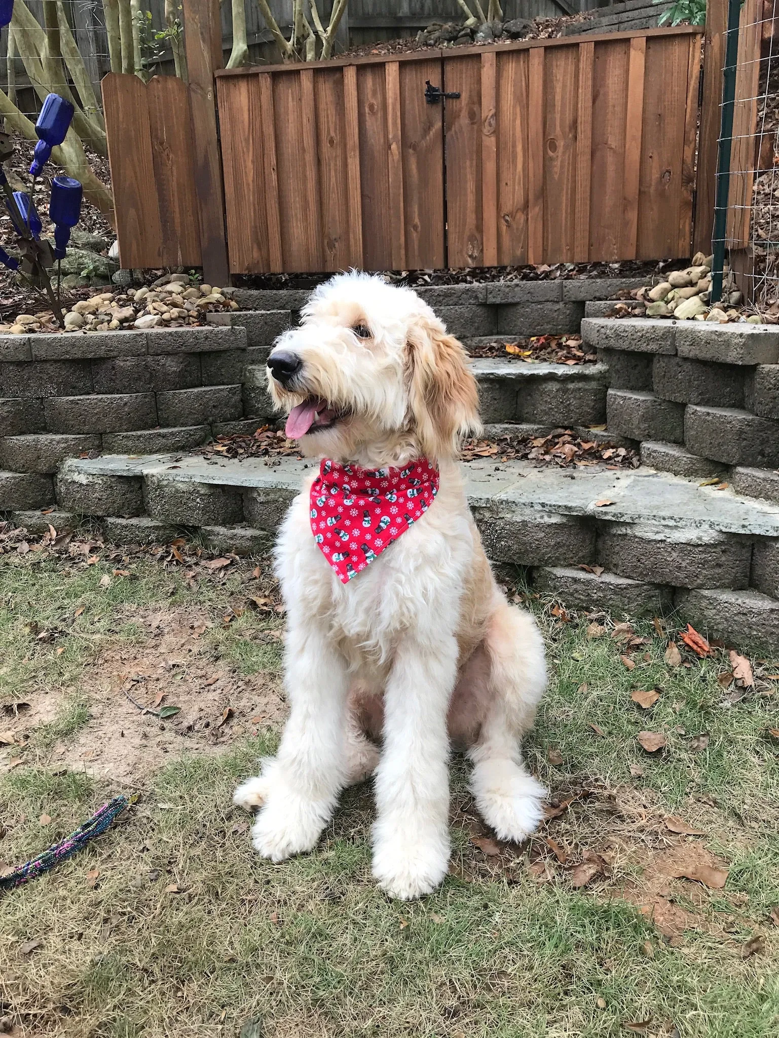 Dog Scarf - Ho Ho/Snowman